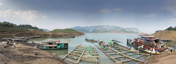 Nhiều loài cá đặc sản ở chợ đầu mối trên núi Nhiều loài cá đặc sản ở chợ đầu mối trên núi